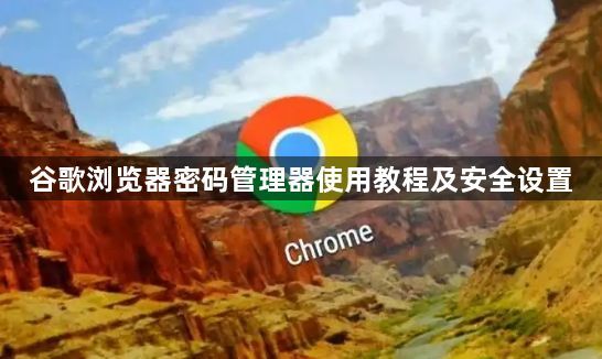 谷歌浏览器密码管理器使用教程及安全设置1