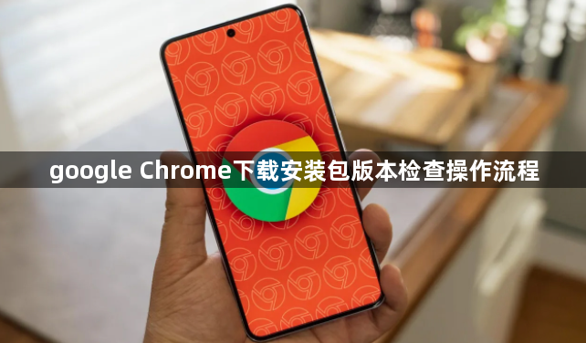 google Chrome下载安装包版本检查操作流程1
