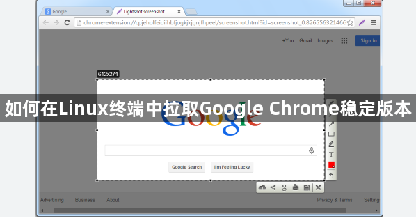 如何在Linux终端中拉取Google Chrome稳定版本1
