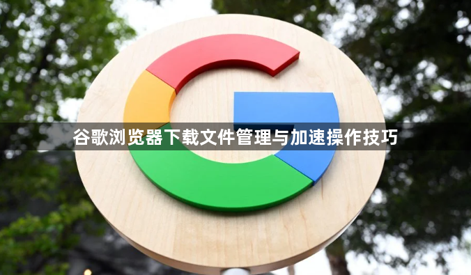 谷歌浏览器下载文件管理与加速操作技巧1