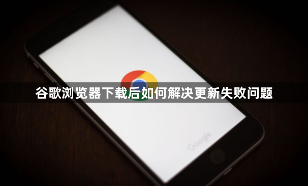 谷歌浏览器下载后如何解决更新失败问题1