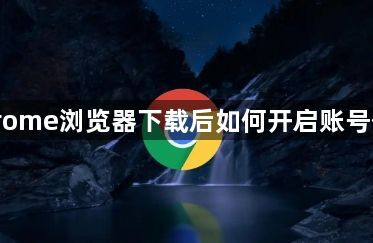 Chrome浏览器下载后如何开启账号保护1