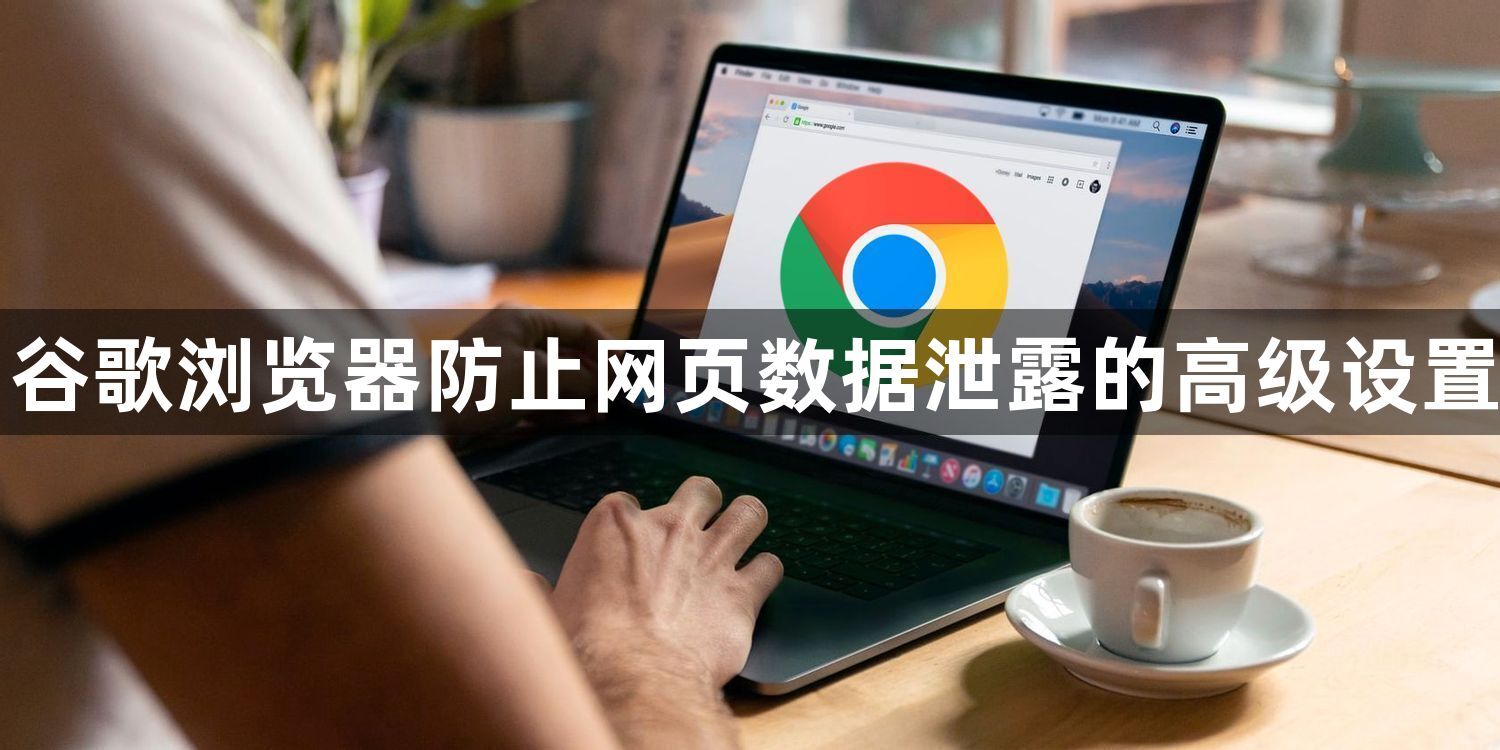 谷歌浏览器防止网页数据泄露的高级设置1