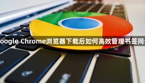 google Chrome浏览器下载后如何高效管理书签同步1