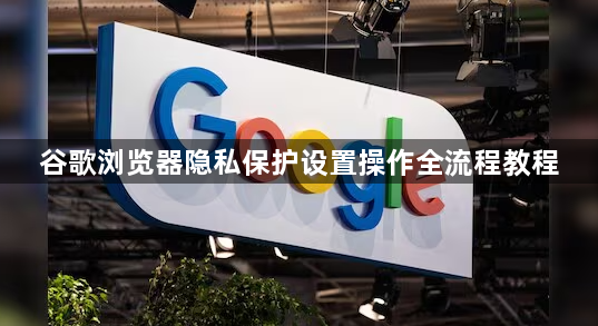 谷歌浏览器隐私保护设置操作全流程教程1