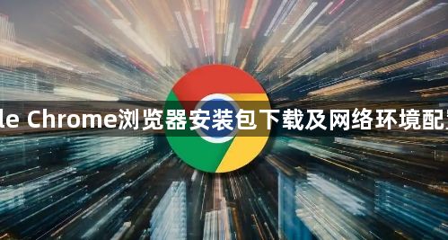 google Chrome浏览器安装包下载及网络环境配置技巧1