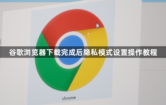 谷歌浏览器下载完成后隐私模式设置操作教程1