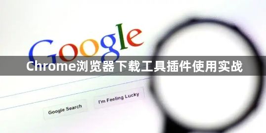 Chrome浏览器下载工具插件使用实战1