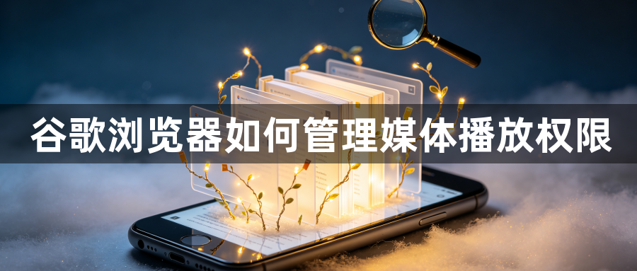 谷歌浏览器如何管理媒体播放权限1