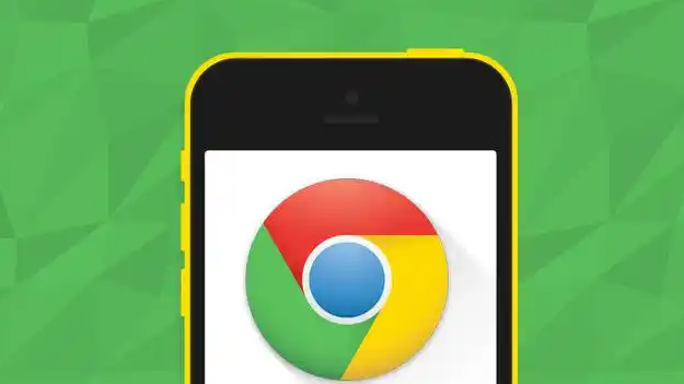 Chrome浏览器下载安装完成后隐私权限设置教程